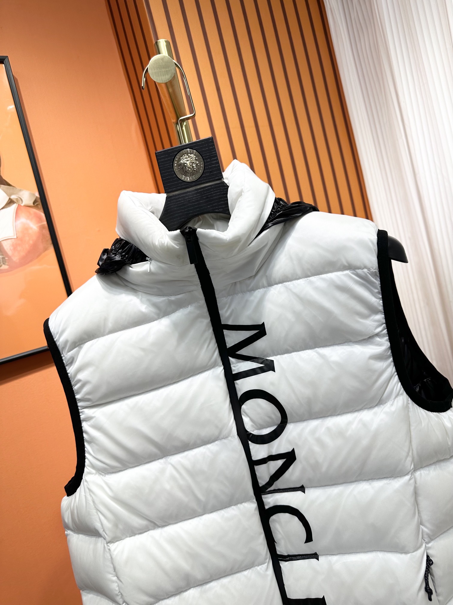 Moncler Down Jackets